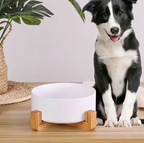 Bol ceramic pentru câini
