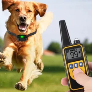 Zgarda de Dresaj pentru Câini cu Telecomandă