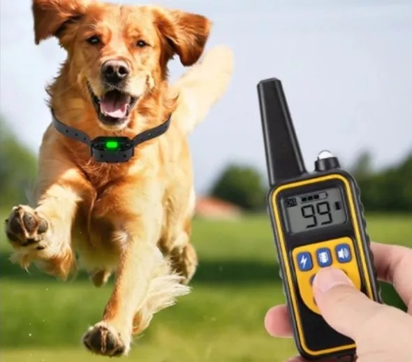 Zgarda de Dresaj pentru Câini cu Telecomandă