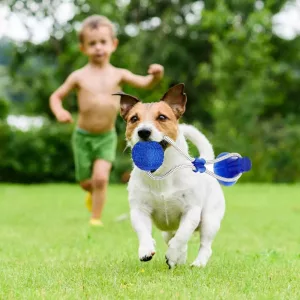 Jucărie Interactivă pentru Câini cu Ventuză