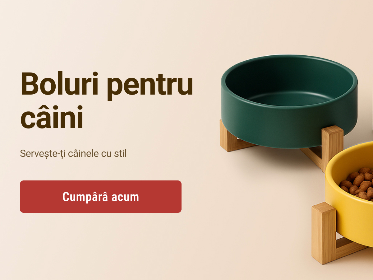 slide-1