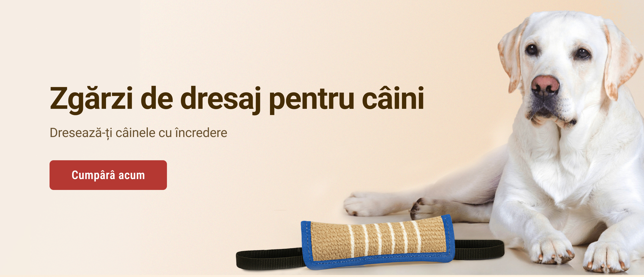 slide-1